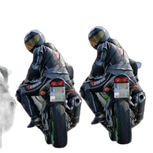 robot, dragon, concept art, photorealistic transparent PNG cut-out