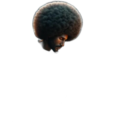 hair, hat, face, crown transparent PNG cut-out