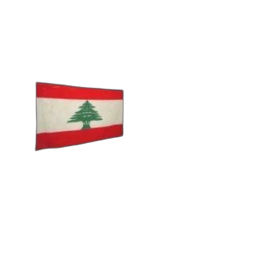 tree, weapon, cover, beirut transparent PNG cut-out
