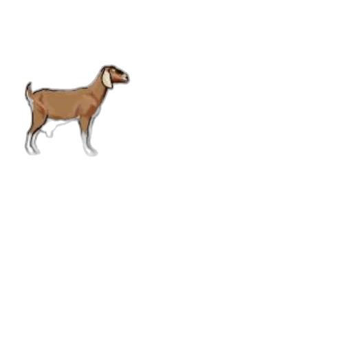animal, creature, staff, dragon transparent PNG cut-out
