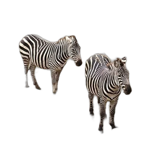 animal, jewelry, furniture, creature transparent PNG cut-out