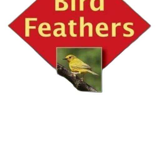 book, cover, featuring, various transparent PNG cut-out