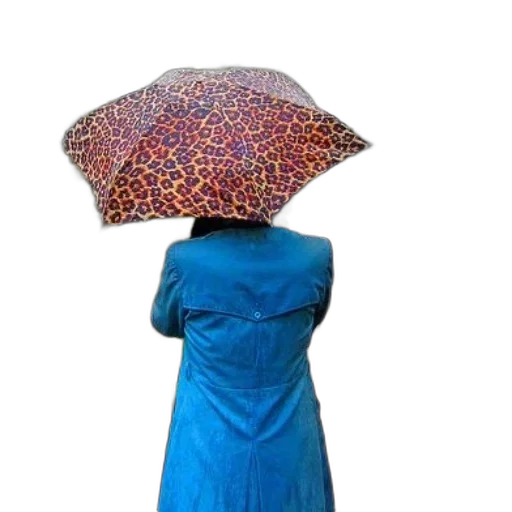 umbrella, dress, hat, jacket transparent PNG cut-out
