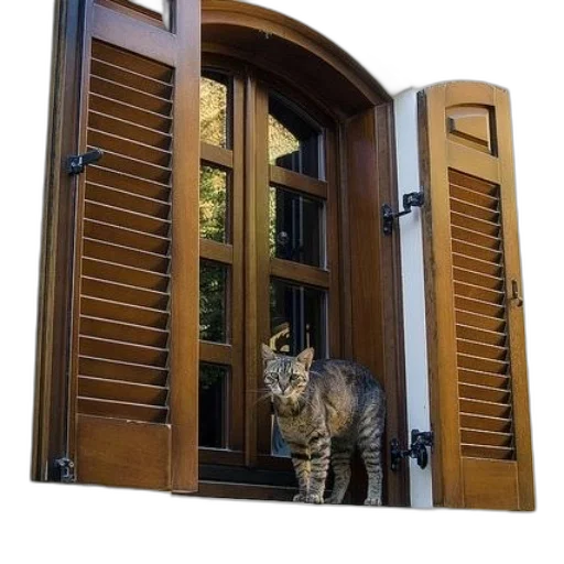 animal, creature, furniture, 3d render transparent PNG cut-out