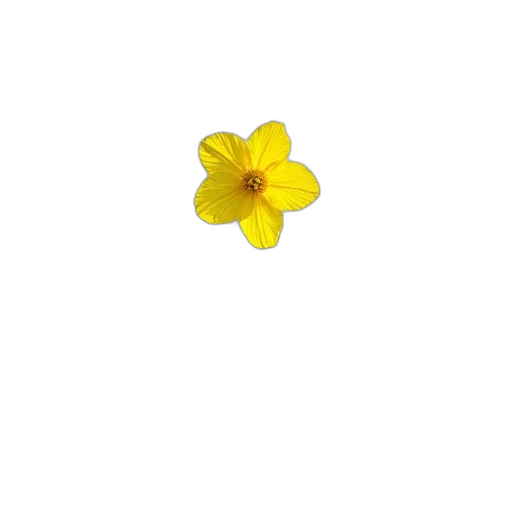 flower, jewelry, crown, weapon transparent PNG cut-out