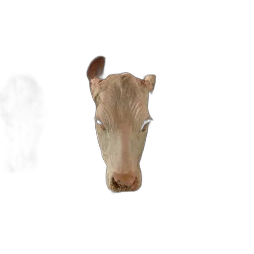 animal, creature, mask, face transparent PNG cut-out