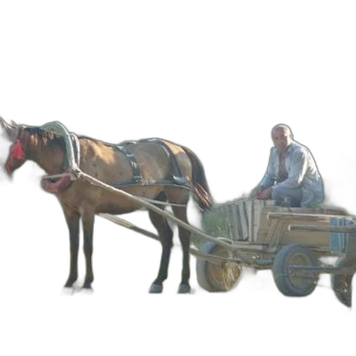 car, animal, robot, furniture transparent PNG cut-out