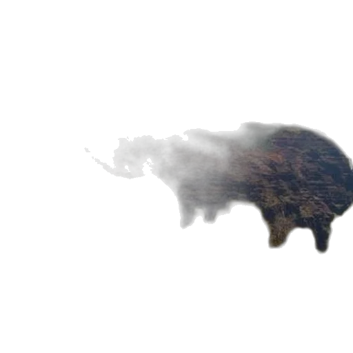 animal, creature, mask, dragon transparent PNG cut-out