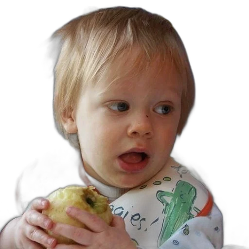 face, creature, food, animal transparent PNG cut-out