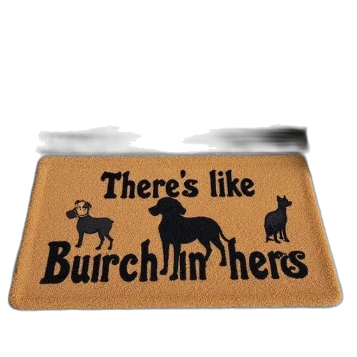 coir, doormat, reads, there transparent PNG cut-out