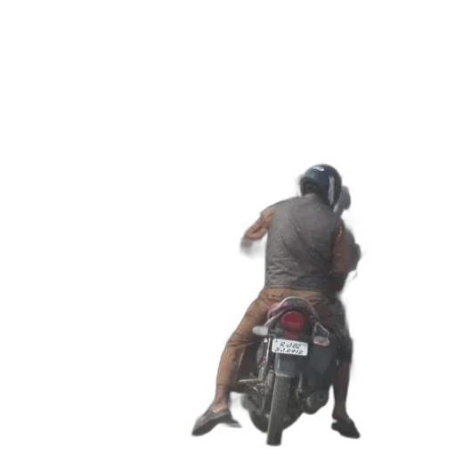 jacket, animal, staff, creature transparent PNG cut-out