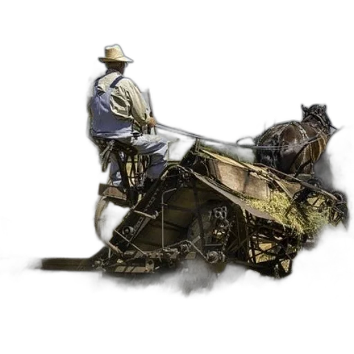 animal, car, weapon, staff transparent PNG cut-out