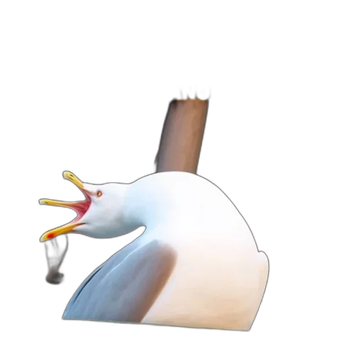 weapon, animal, crown, hat transparent PNG cut-out