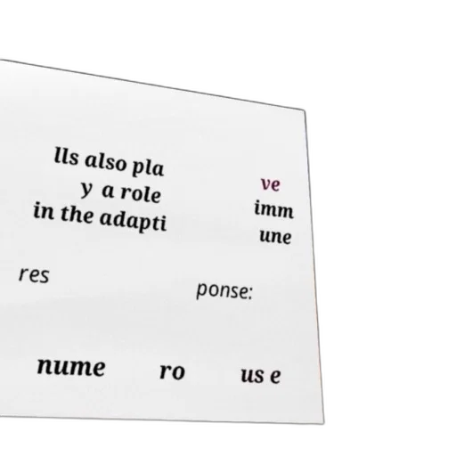 text, box, word, lls transparent PNG cut-out