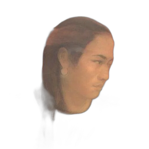face, hair, mask, robot transparent PNG cut-out