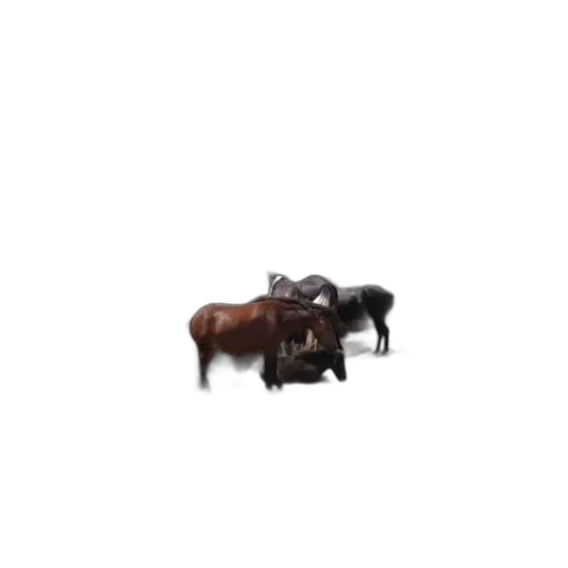 animal, furniture, creature, food transparent PNG cut-out