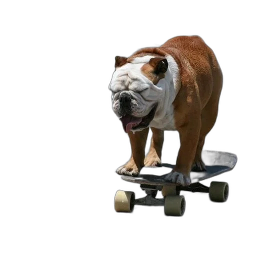 animal, creature, car, robot transparent PNG cut-out