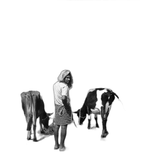 animal, staff, creature, jewelry transparent PNG cut-out