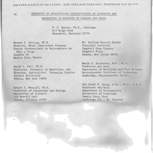 staff, document, listing, various transparent PNG cut-out