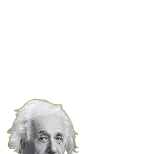 face, hair, mask, animal transparent PNG cut-out