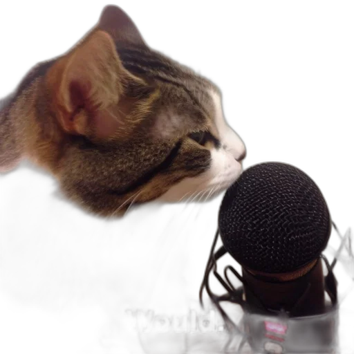 staff, animal, hat, photorealistic transparent PNG cut-out