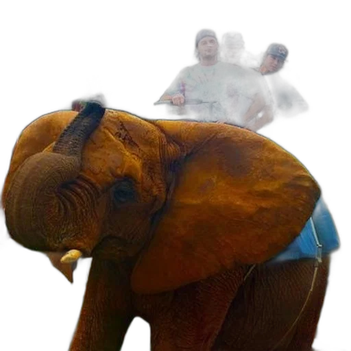 animal, creature, mask, staff transparent PNG cut-out