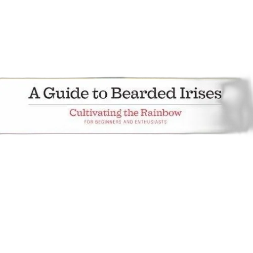 guide, bearded, irises, cultivating transparent PNG cut-out