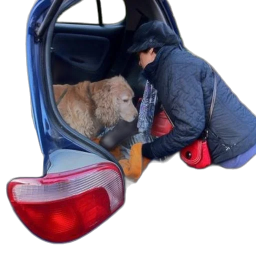 car, umbrella, jacket, hat transparent PNG cut-out