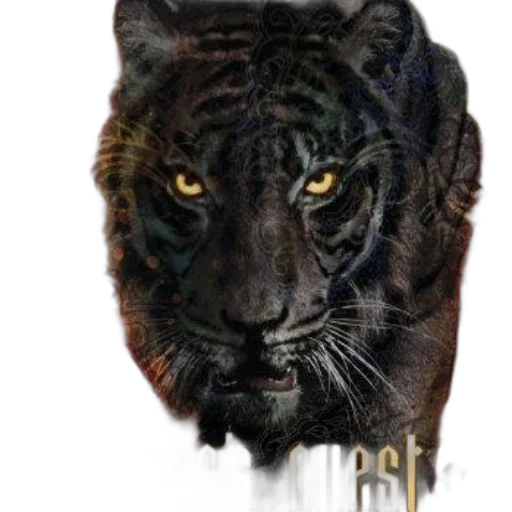 animal, mask, creature, crown transparent PNG cut-out