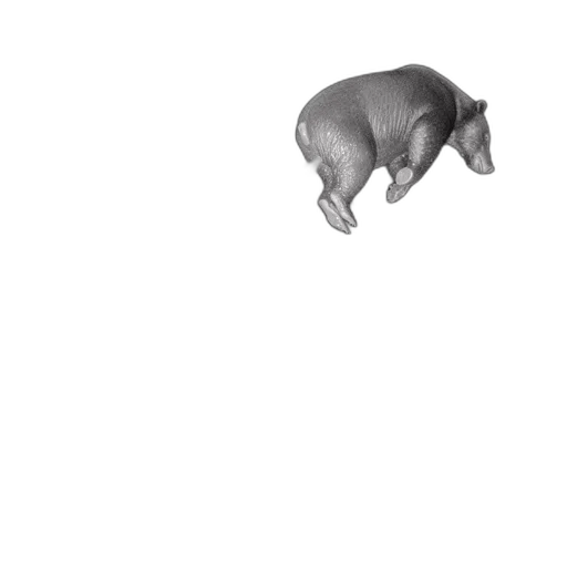 animal, creature, food, robot transparent PNG cut-out