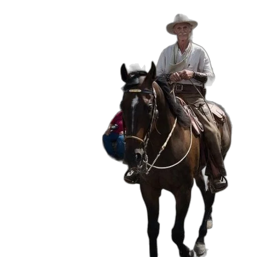 hat, staff, animal, photorealistic transparent PNG cut-out