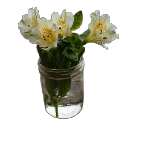 flower, crown, bottle, staff transparent PNG cut-out
