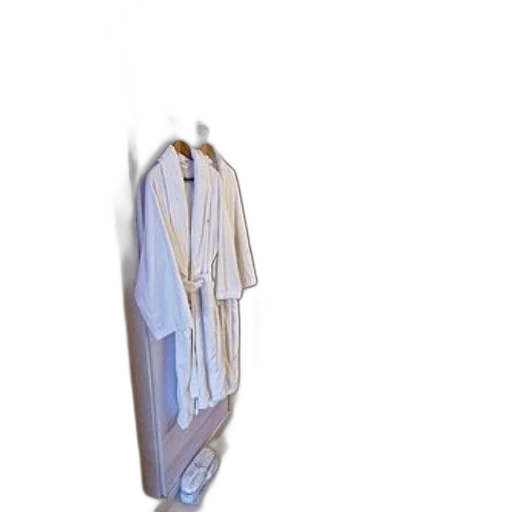 dress, jacket, staff, jewelry transparent PNG cut-out