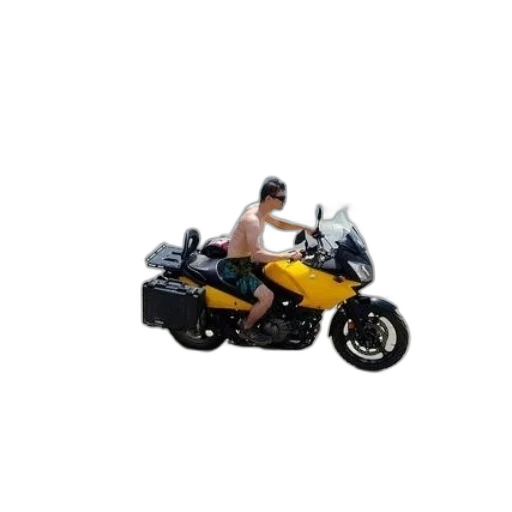 car, animal, weapon, robot transparent PNG cut-out
