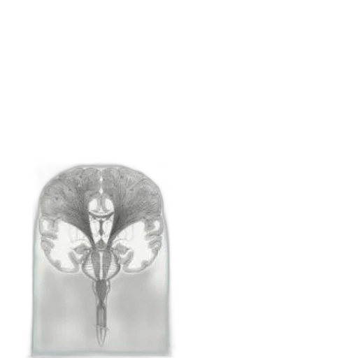 crown, mask, jewelry, umbrella transparent PNG cut-out
