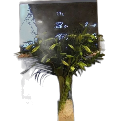 staff, umbrella, flower, crown transparent PNG cut-out
