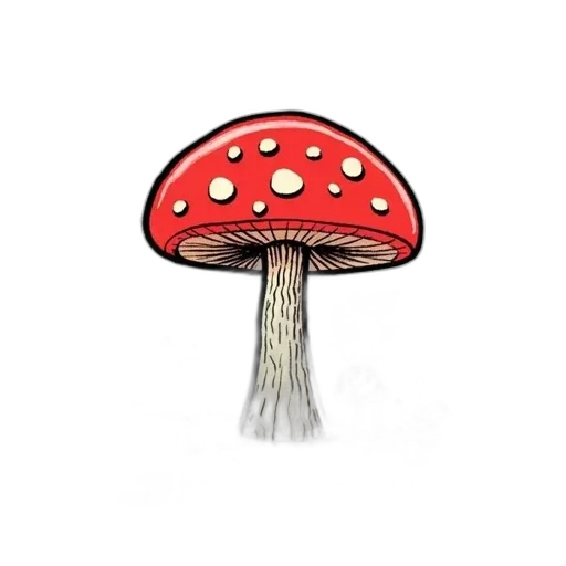 hat, crown, umbrella, food transparent PNG cut-out