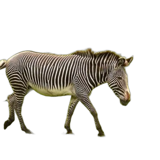 animal, creature, staff, weapon transparent PNG cut-out