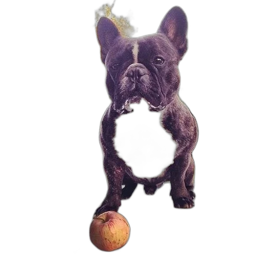 staff, animal, food, jewelry transparent PNG cut-out