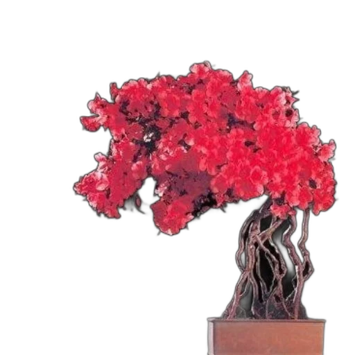 crown, flower, tree, staff transparent PNG cut-out