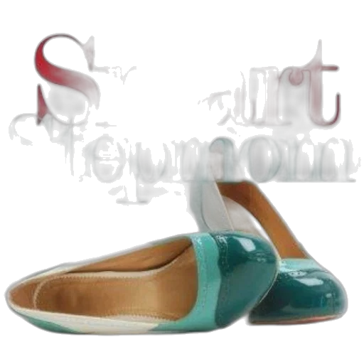 shoes, 3d render, smart, stepmom transparent PNG cut-out