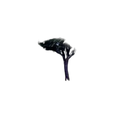 umbrella, tree, hat, hair transparent PNG cut-out