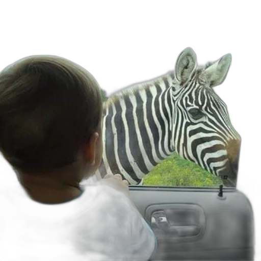 animal, creature, hat, robot transparent PNG cut-out
