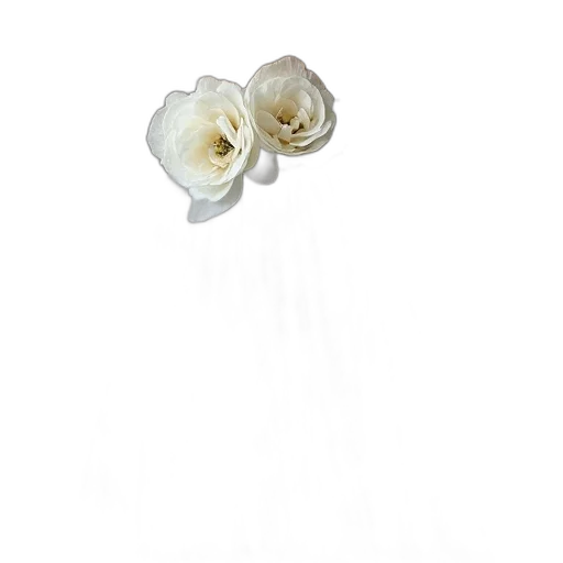 flower, jewelry, crown, hair transparent PNG cut-out