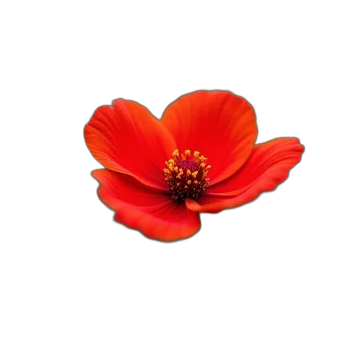 flower, crown, jewelry, staff transparent PNG cut-out