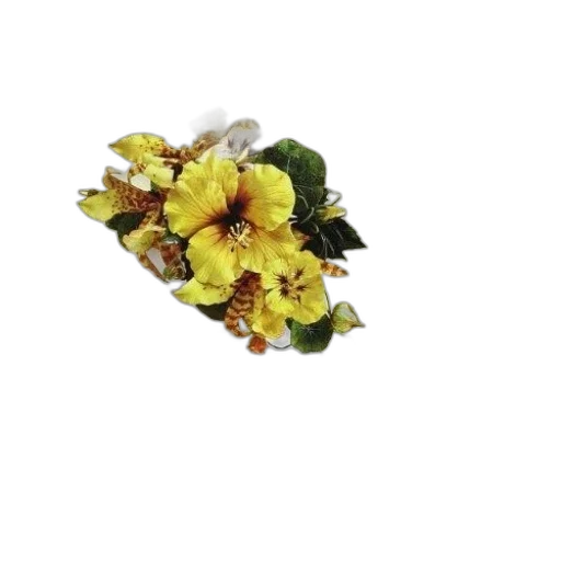 flower, jewelry, crown, food transparent PNG cut-out