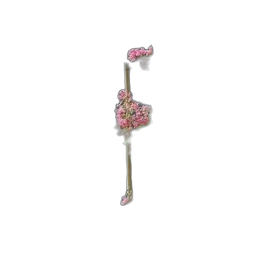 staff, jewelry, weapon, flower transparent PNG cut-out