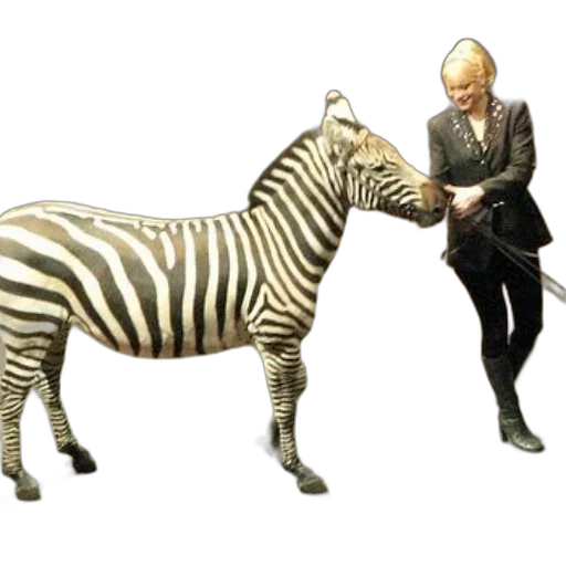 animal, creature, staff, concept art transparent PNG cut-out