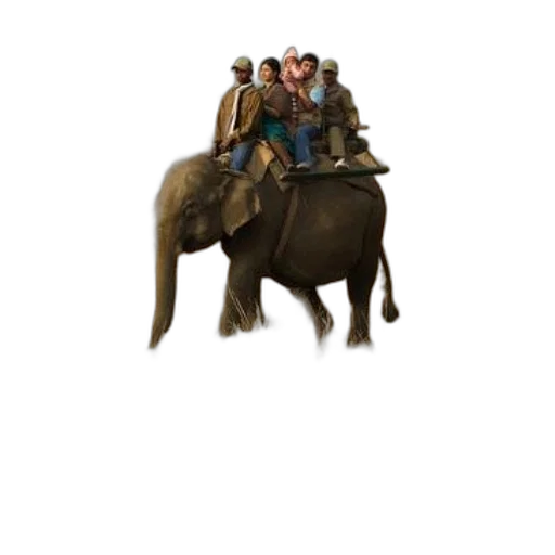 animal, creature, car, jacket transparent PNG cut-out