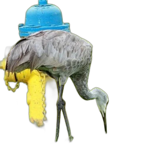 hat, animal, creature, mask transparent PNG cut-out